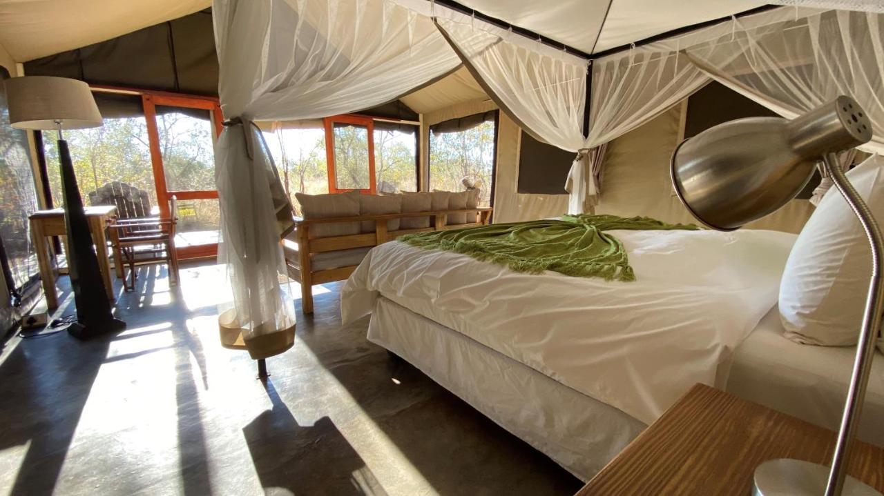 Honeyguide Tented Safari Camp - Khoka Moya Manyeleti Game Reserve Eksteriør billede