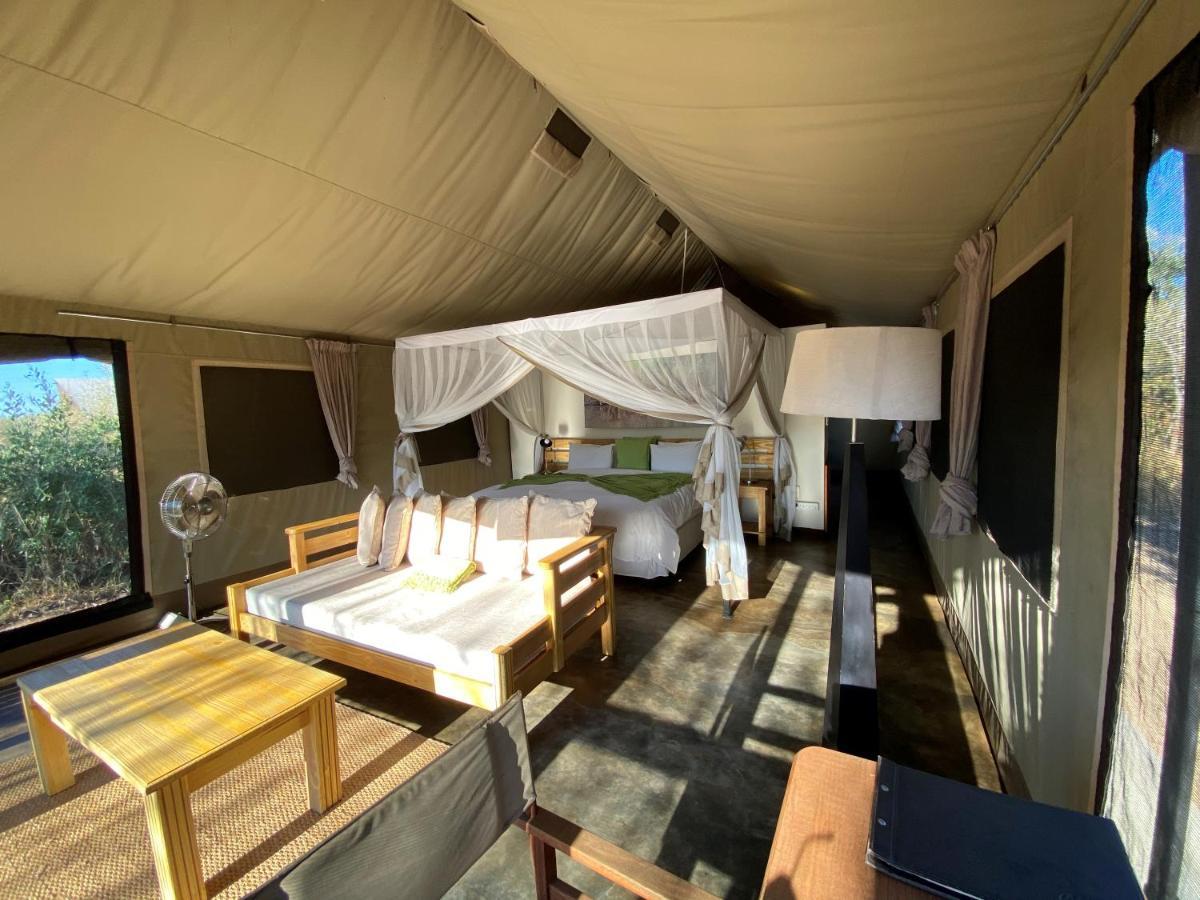 Honeyguide Tented Safari Camp - Khoka Moya Manyeleti Game Reserve Eksteriør billede
