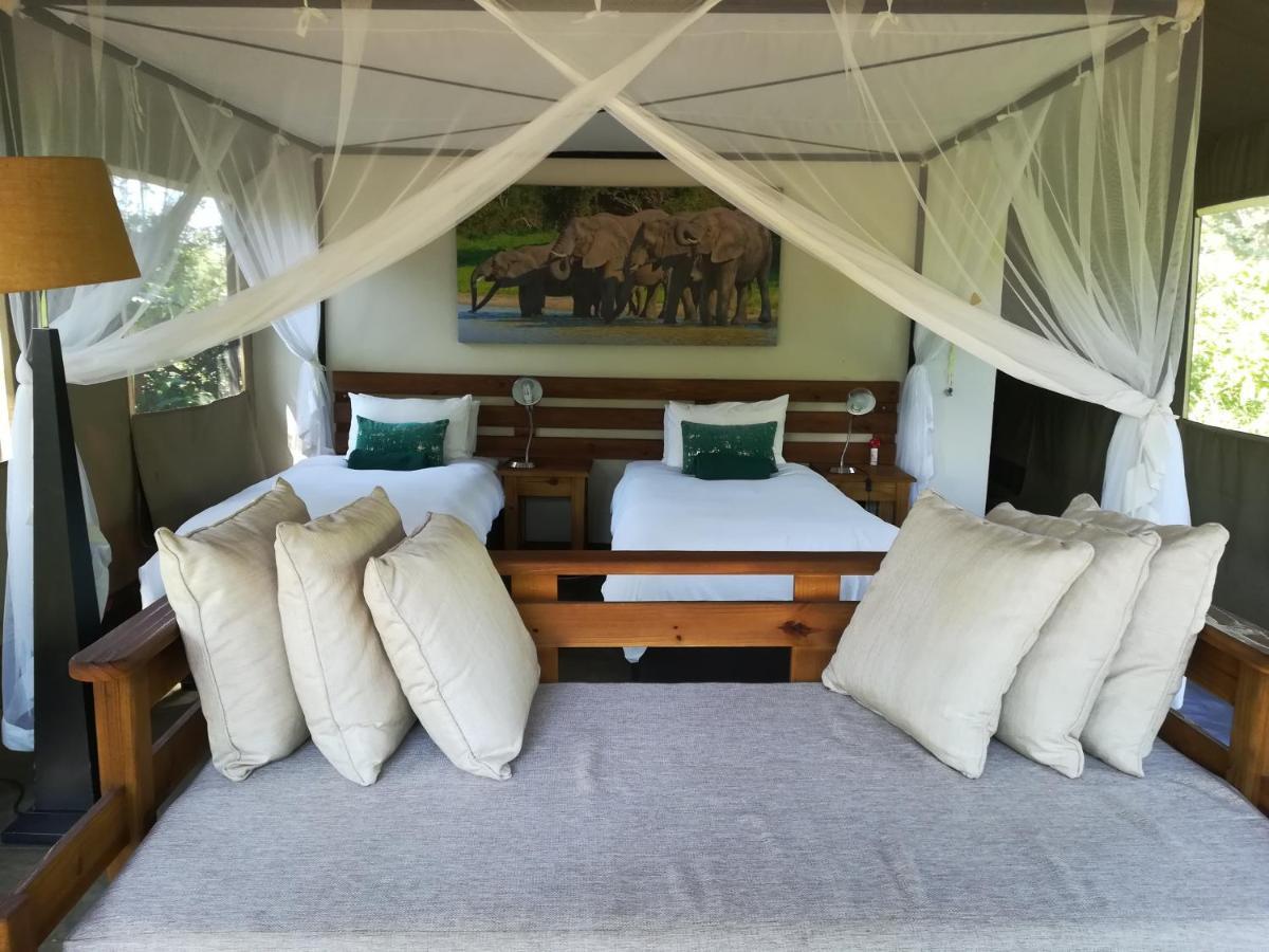 Honeyguide Tented Safari Camp - Khoka Moya Manyeleti Game Reserve Eksteriør billede