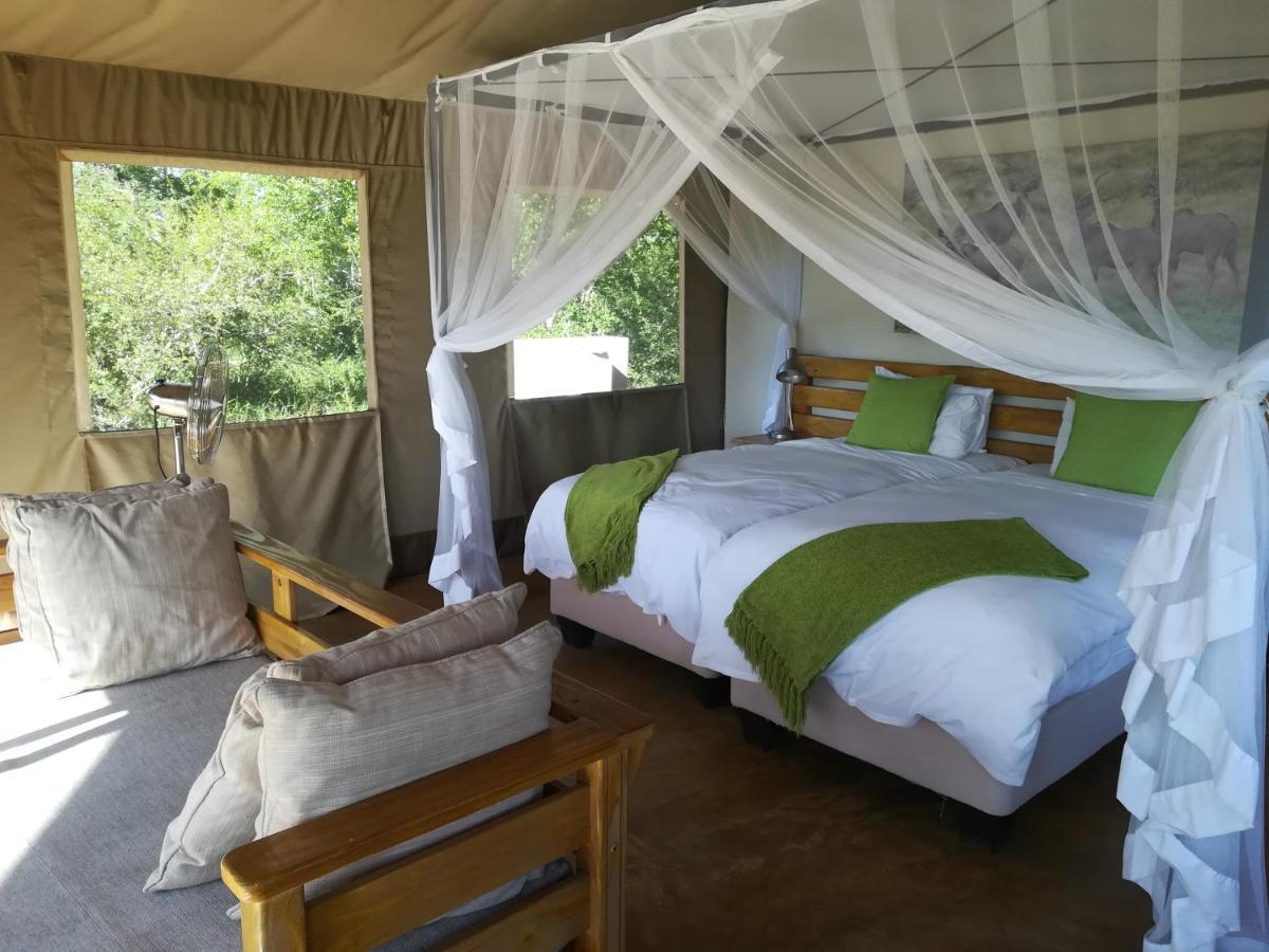 Honeyguide Tented Safari Camp - Khoka Moya Manyeleti Game Reserve Eksteriør billede