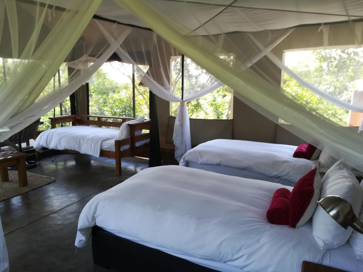 Honeyguide Tented Safari Camp - Khoka Moya Manyeleti Game Reserve Eksteriør billede
