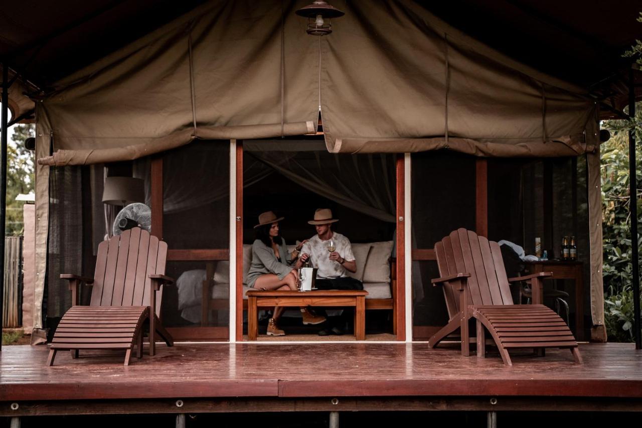 Honeyguide Tented Safari Camp - Khoka Moya Manyeleti Game Reserve Eksteriør billede