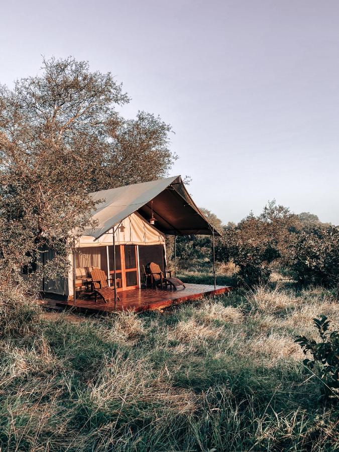 Honeyguide Tented Safari Camp - Khoka Moya Manyeleti Game Reserve Eksteriør billede