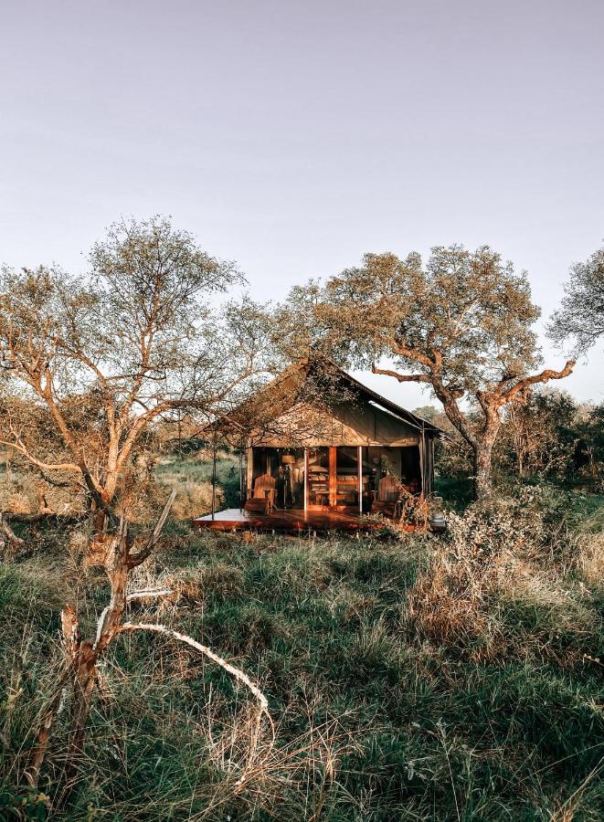 Honeyguide Tented Safari Camp - Khoka Moya Manyeleti Game Reserve Eksteriør billede