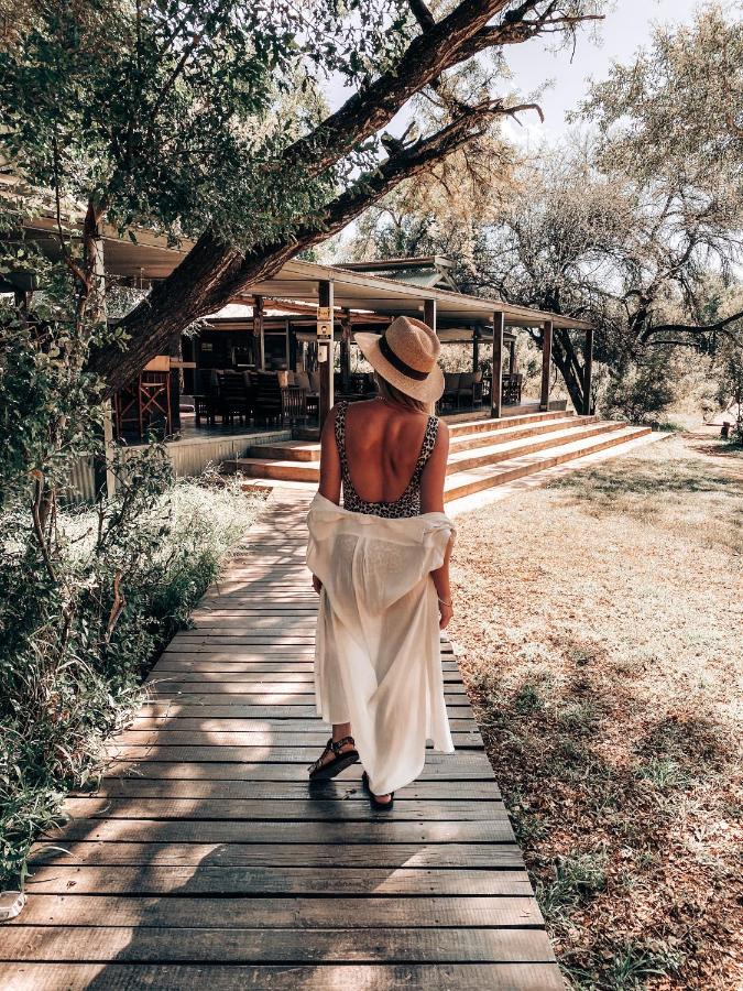 Honeyguide Tented Safari Camp - Khoka Moya Manyeleti Game Reserve Eksteriør billede