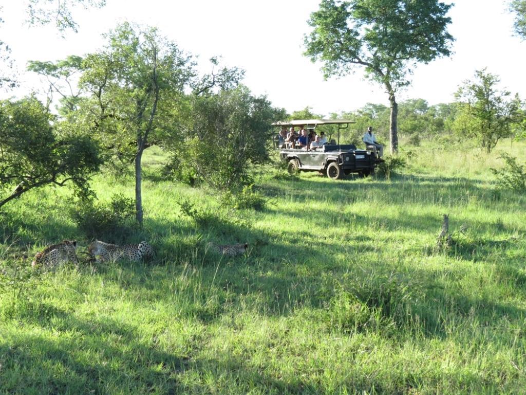 Honeyguide Tented Safari Camp - Khoka Moya Manyeleti Game Reserve Eksteriør billede
