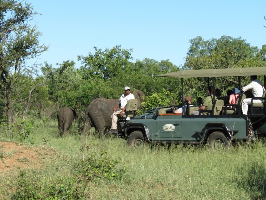 Honeyguide Tented Safari Camp - Khoka Moya Manyeleti Game Reserve Eksteriør billede